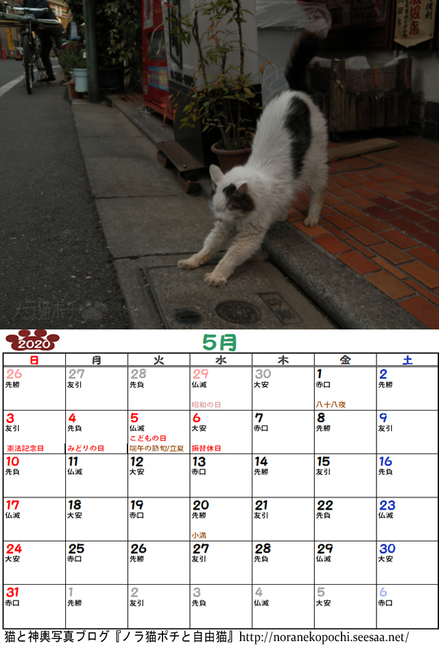 チッチ5月.jpg