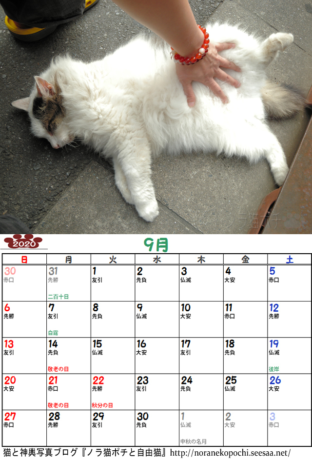 チッチ9月.jpg