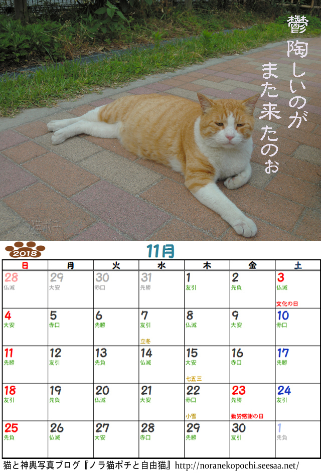 ツンデレボス太郎カレンダー11月.jpg