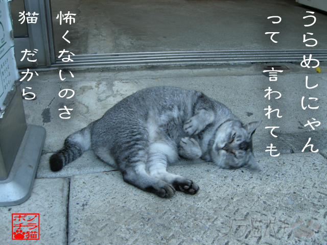 ドロンと行く手に出るんだにゃん.jpg