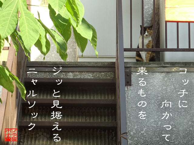 不審なモンなぞブロックにゃん.jpg