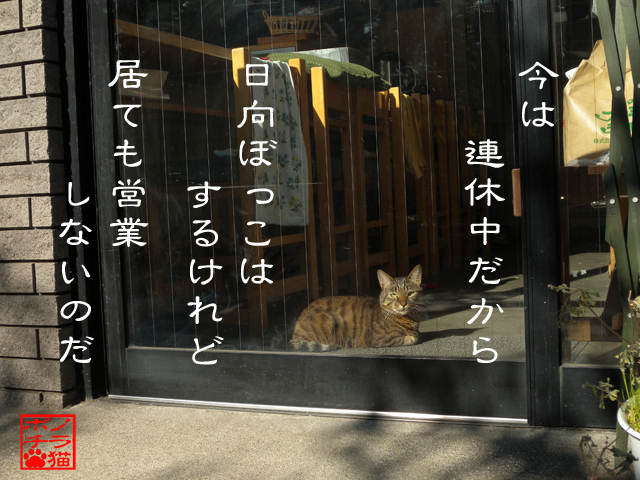 休みと言ったら休むのにゃん.jpg