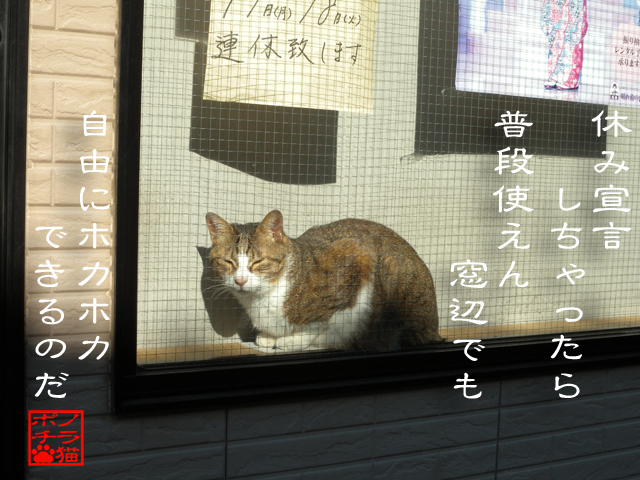 休日ぐらいは自由だにゃん.jpg