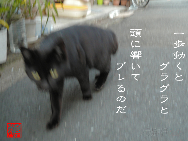 体調悪くてヤバイのにゃん.jpg