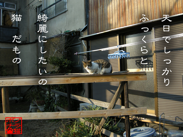 元気に生きれるコツなのにゃん.jpg