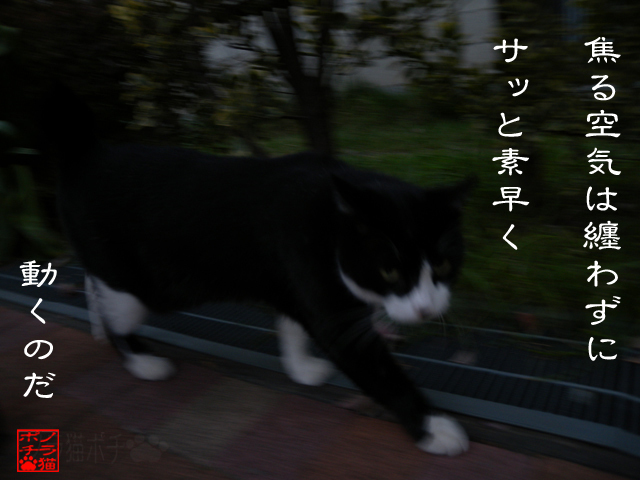 先回りしておくことが余裕をこさえるコツなのにゃん.jpg