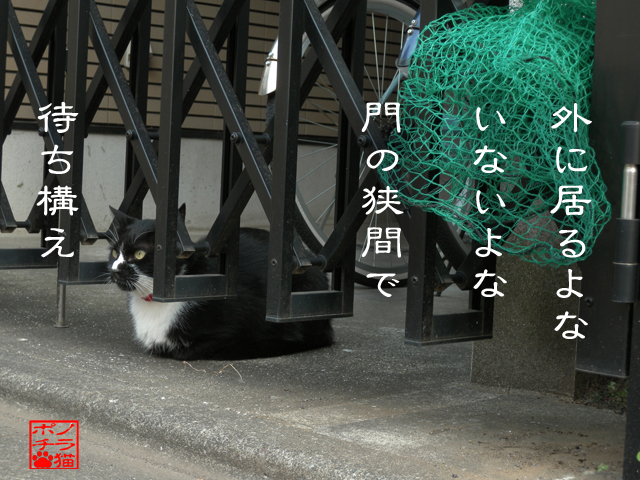 出るも戻るも我が意のままにゃん.jpg