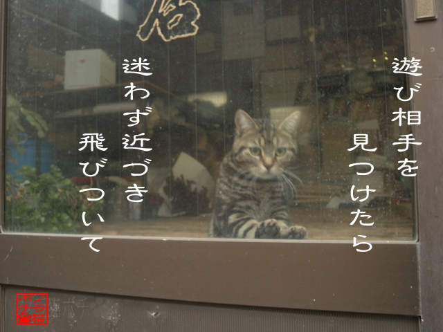 可愛いオイラと遊べだにゃん.jpg