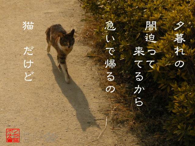 安全地底に急ぐのにゃん.jpg