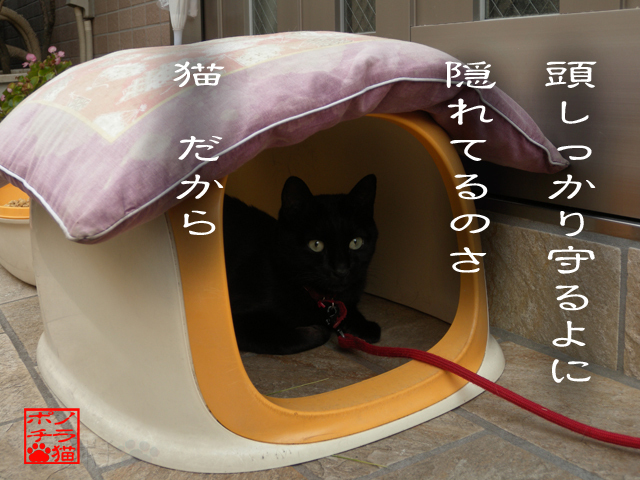 安全確保が第一にゃん.jpg