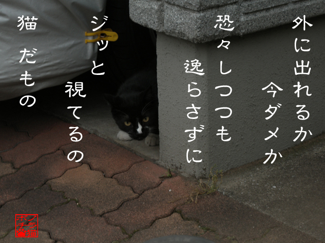 安全確認大事だにゃん.jpg