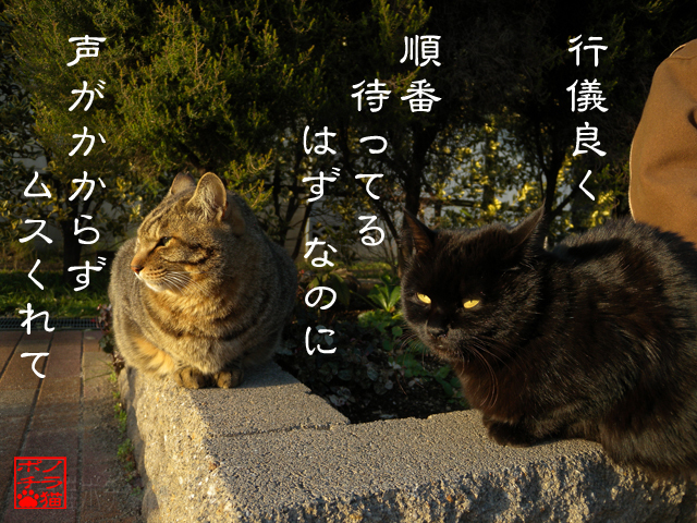 後回しとかウンザリにゃん.jpg