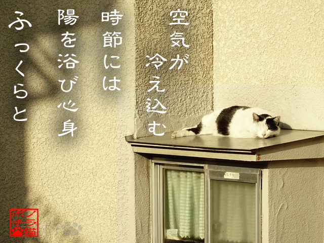 心と身体のチャージだにゃん.jpg