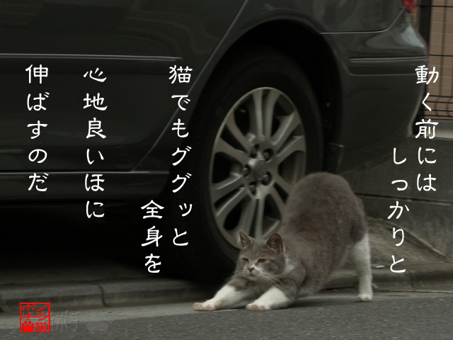 心地よいのが大事だにゃん.jpg
