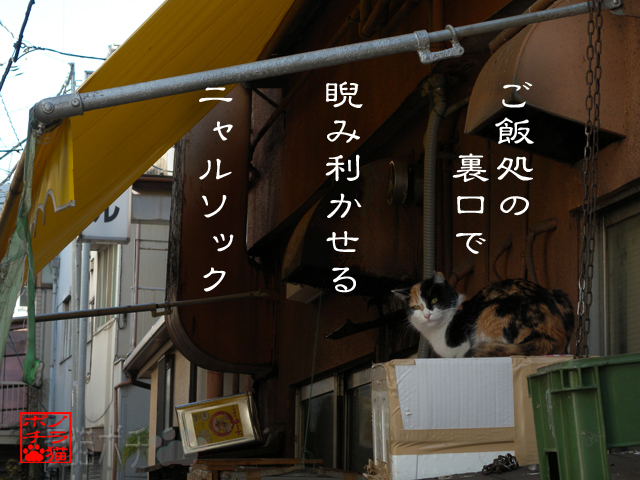 恩義は意外と返すのにゃん.jpg