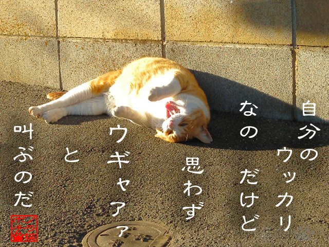 戻らぬミスってあるんだにゃん.jpg