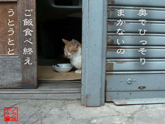 手抜き具合が良いんだにゃん.jpg