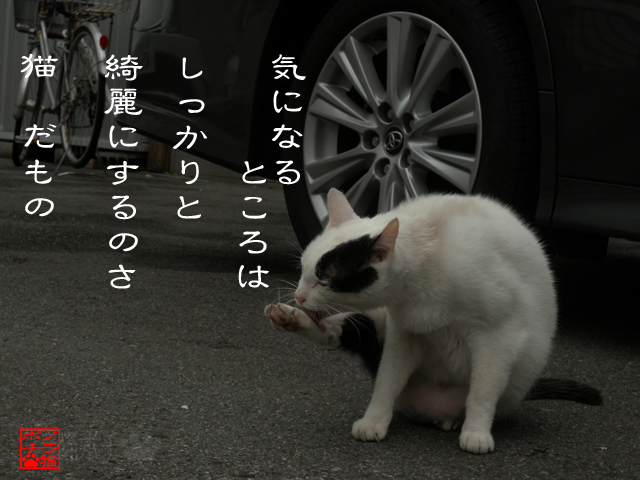 早めの掃除がポイントにゃん.jpg