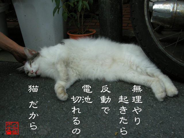 朝に起きるとしんどいにゃん.jpg