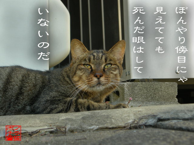 止まってみるのも行動にゃん.jpg