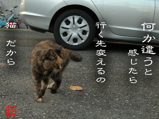 気付かぬフリせぬ強さだにゃん.jpg