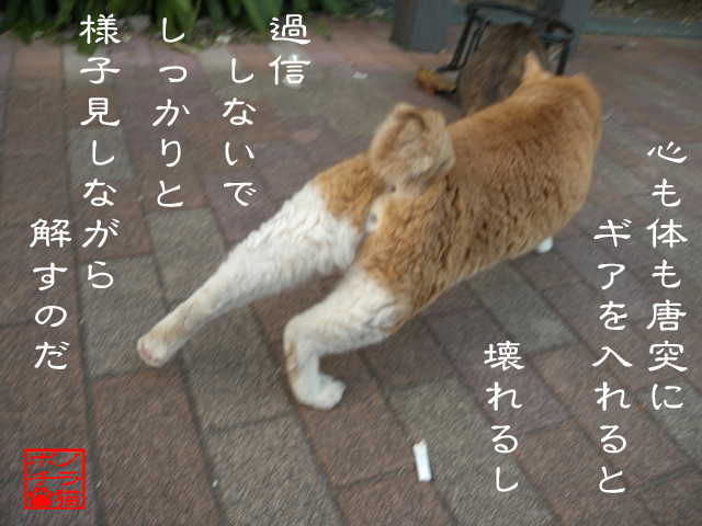 気持ちい方へと解すのにゃん.jpg