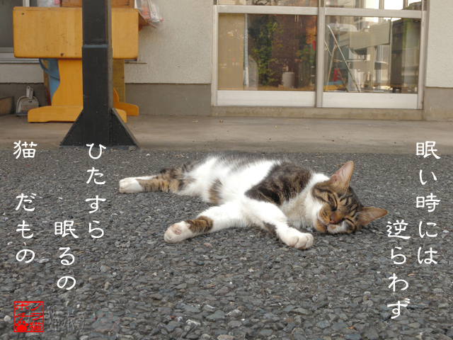 無理して動くと壊れるにゃん.jpg