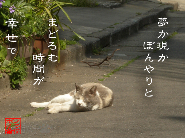 無駄かどうかじゃナイんだにゃん.jpg