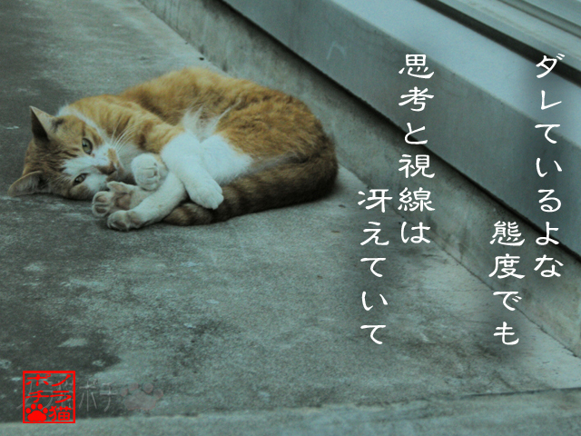 無駄な力みはいらんのにゃん.jpg