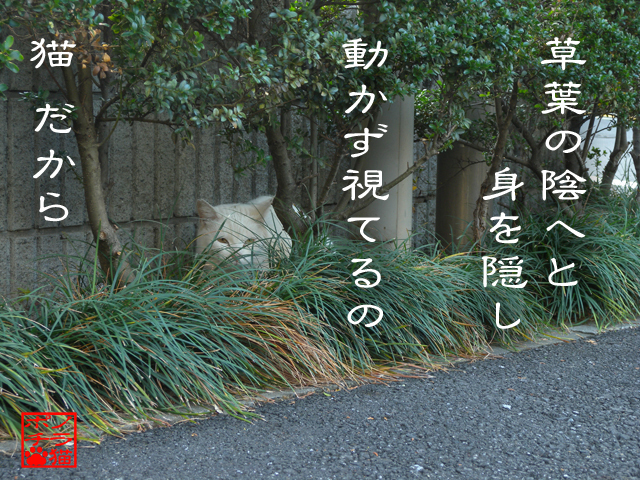 狩りの基本のキなんだにゃん.jpg
