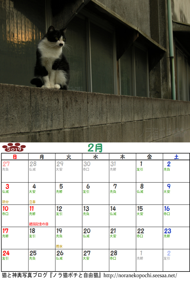 9周年企画 ノラ猫ポチと自由猫19年カレンダー 2月 今は無き猫の居た場所ｖｅｒ ノラ猫ポチと自由猫