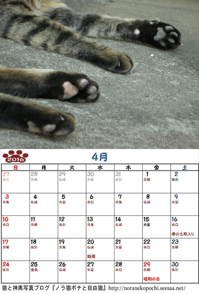 ６周年企画 ノラ猫ポチと自由猫2016年カレンダー ４月 プニプニ