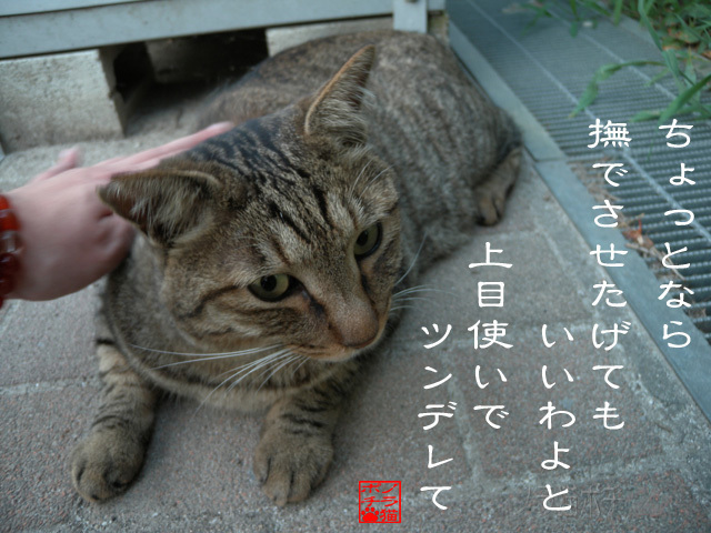 甘えるつもりはナイんだにゃん.jpg