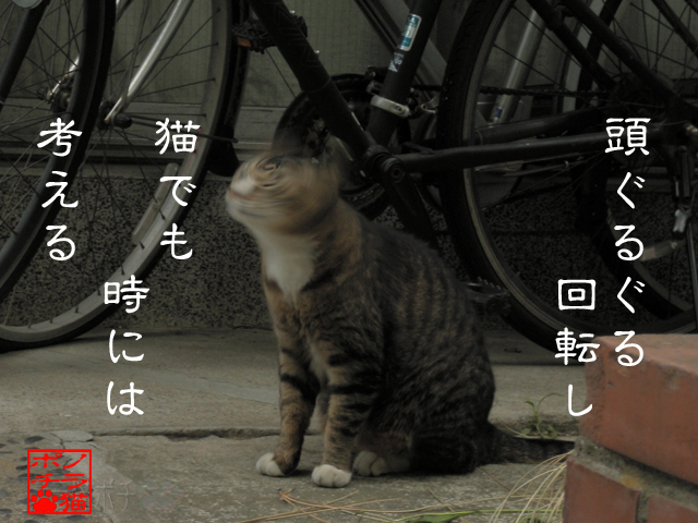 生きるためなら全力でグルんグルに回すのにゃん.jpg
