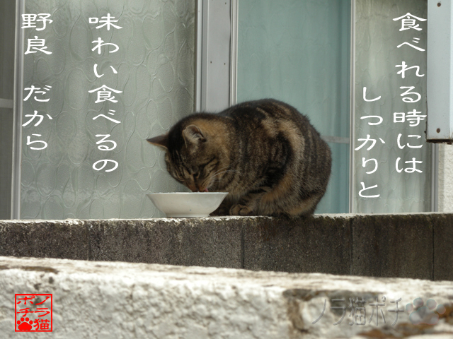 窓からもらえるシステムにゃん.jpg