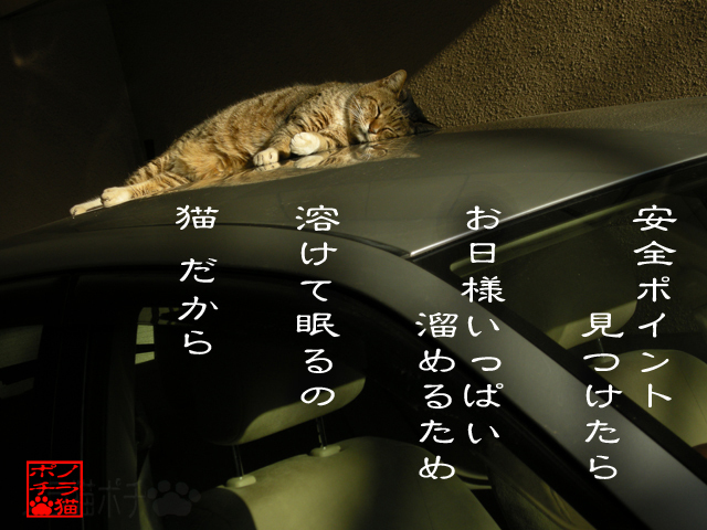 耳だけ起きてりゃ十分にゃん.jpg