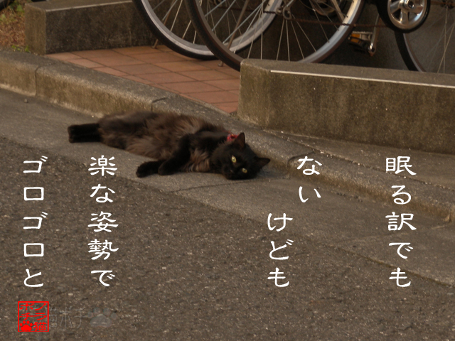 自分壊さぬポイントにゃん.jpg