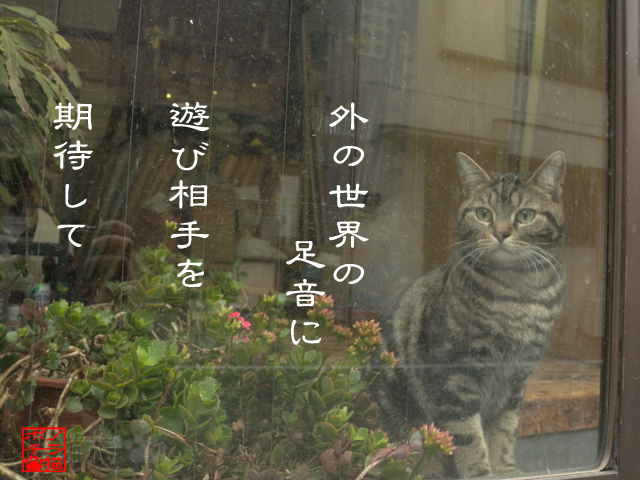 見つけてくれるの待ちなのにゃん.jpg