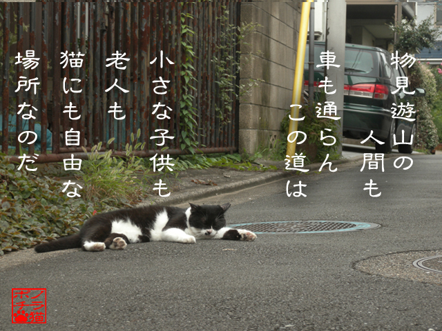 観光客なぞいらないにゃん.jpg