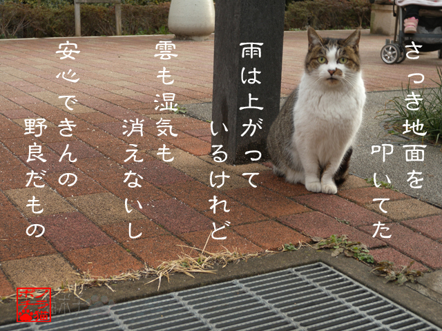 警戒スイッチONなのにゃん.jpg