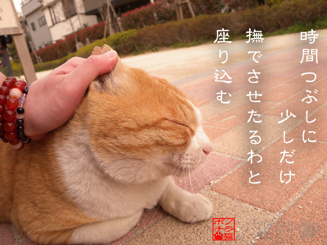 退屈するよかマシなのにゃん.jpg