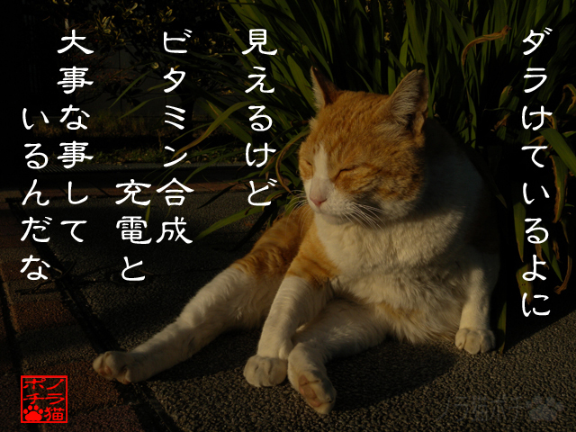 過酷な時ほど休めだにゃん.jpg
