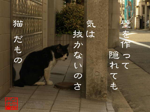 防御してても気になるにゃん.jpg