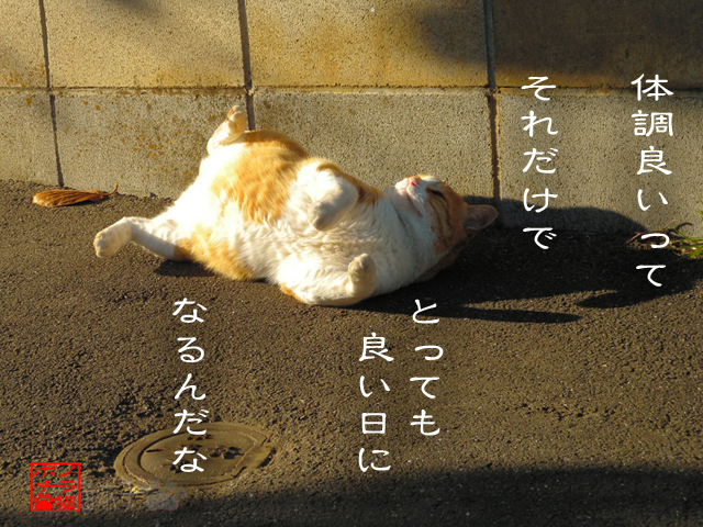 頭痛がないって快適にゃん.jpg