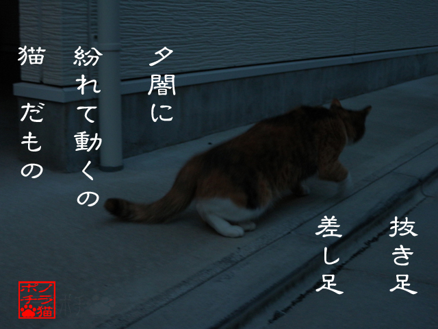 魑魅魍魎の時間だにゃん.jpg
