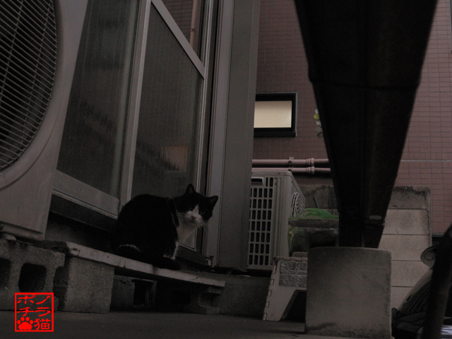FSCN0001.jpg