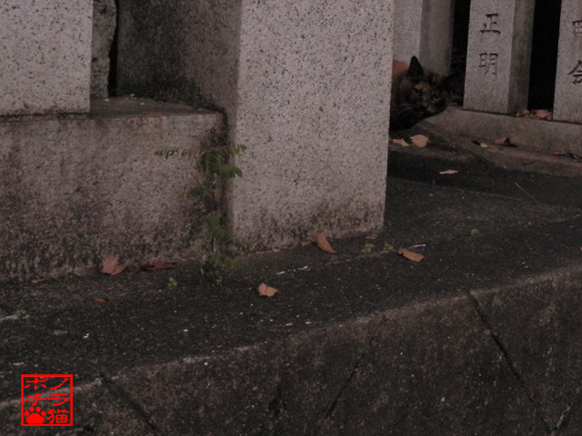 RSCN0009.jpg