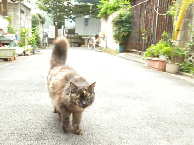 RSCN0016.jpg