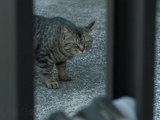RSCN0029.jpg