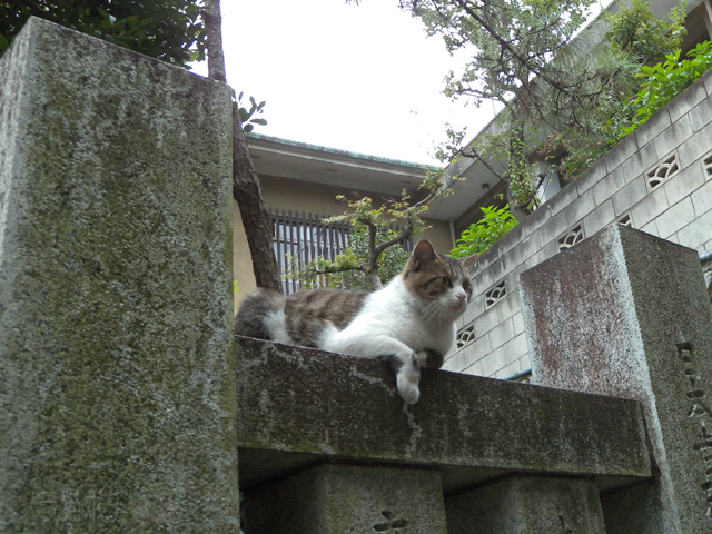 RSCN0086.jpg